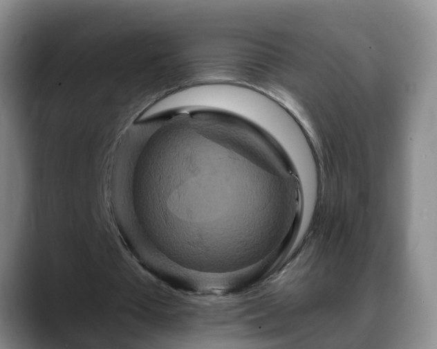 X0000088880385200706151815