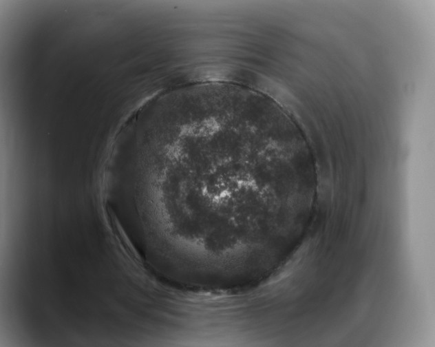 X0000088880386200706151815