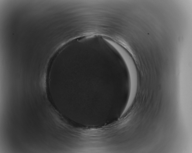 X0000088880387200706151815