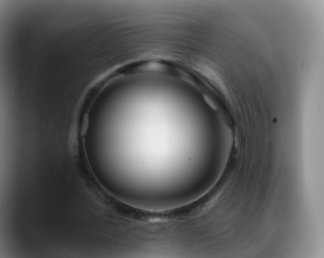 X0000088880388200706151815