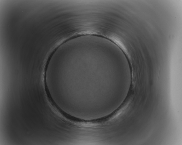 X0000088880389200706151815