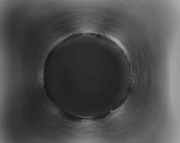 X0000088880391200706151815