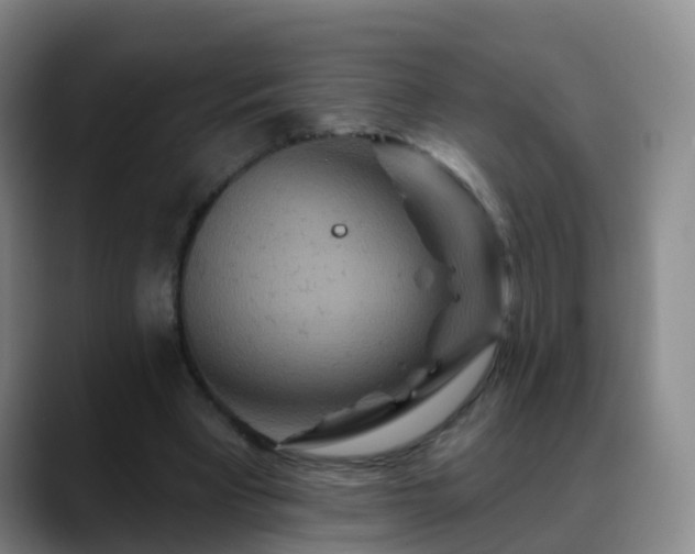 X0000088880393200706151815