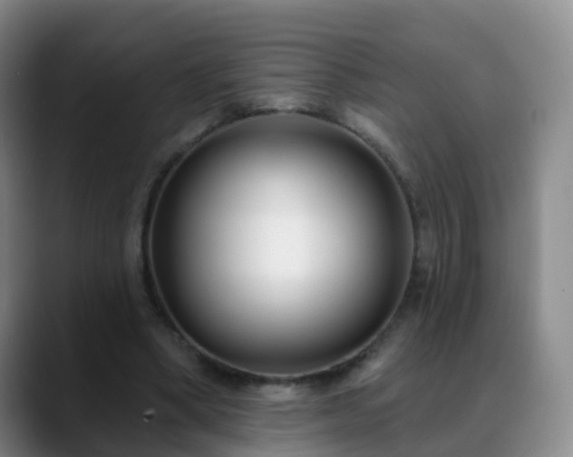 X0000088880394200706151815