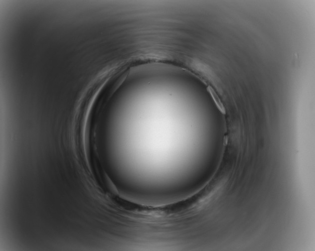 X0000088880395200706151815