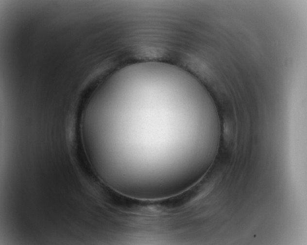 X0000088880396200706151815