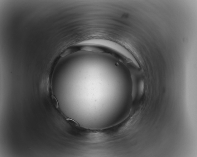 X0000088880397200706151815