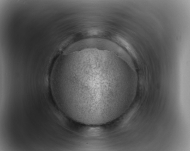 X0000088880401200706151815