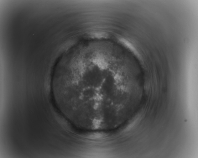 X0000088880402200706151815