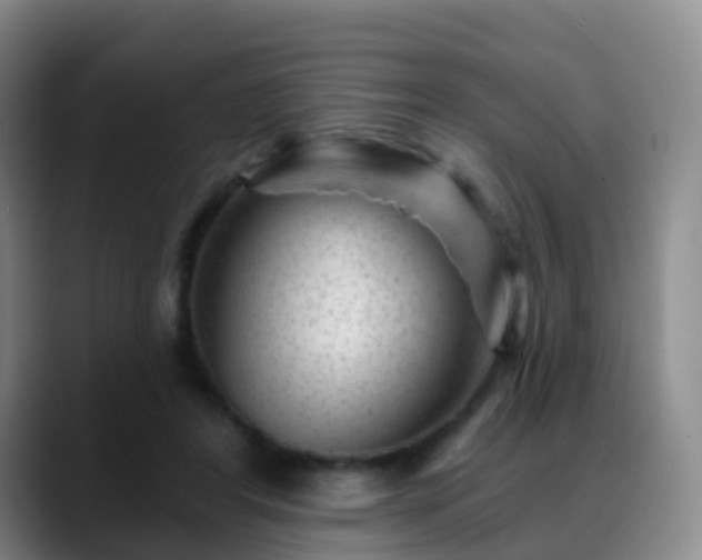 X0000088880404200706151815