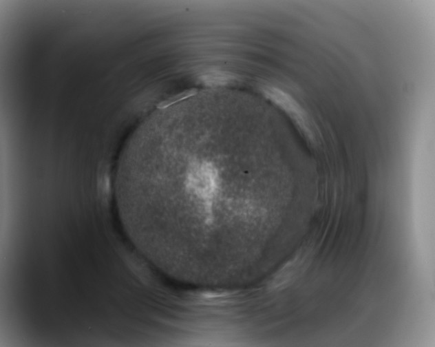 X0000088880405200706151815