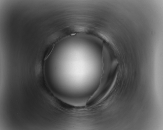 X0000088880407200706151815