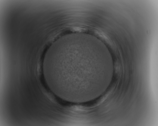 X0000088880408200706151815