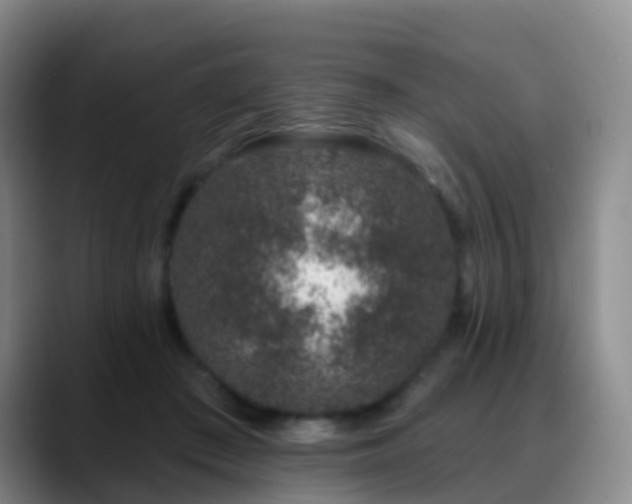 X0000088880409200706151815