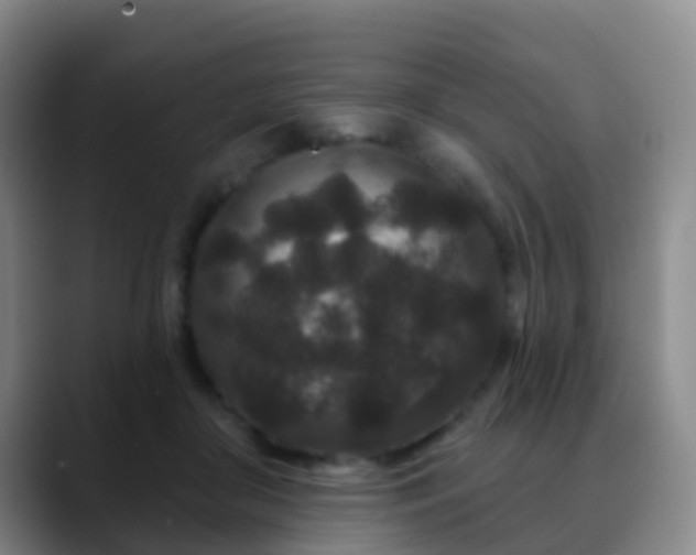 X0000088880410200706151815