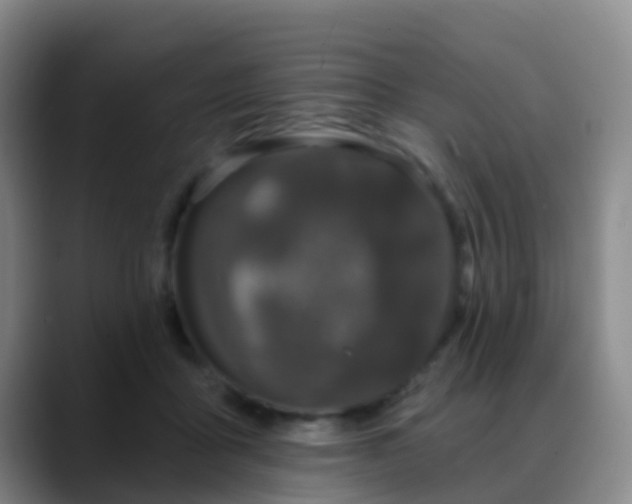 X0000088880411200706151815