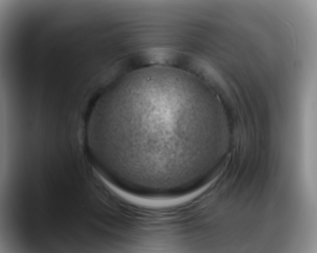 X0000088880413200706151815