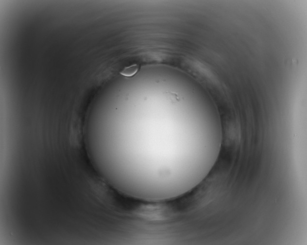 X0000088880414200706151815