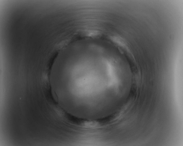 X0000088880415200706151815