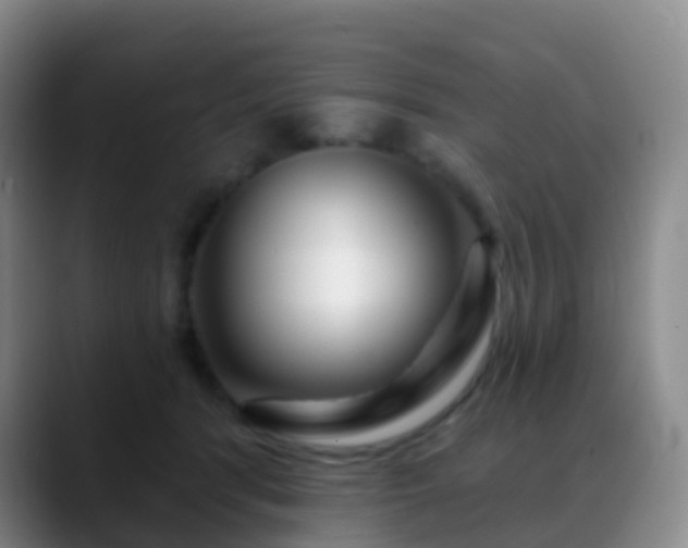 X0000088880416200706151815