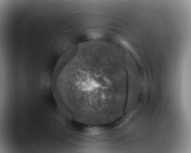 X0000088880417200706151815