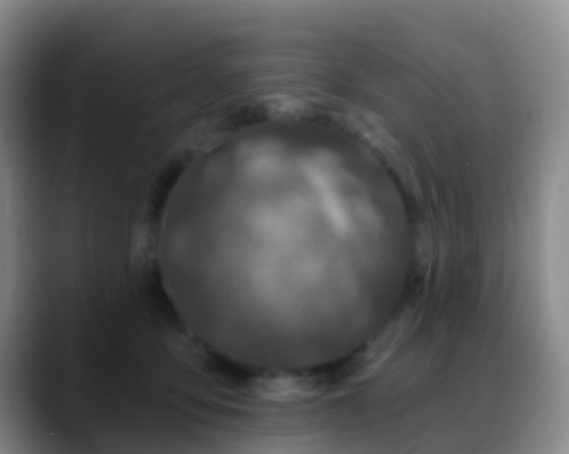 X0000088880419200706151815