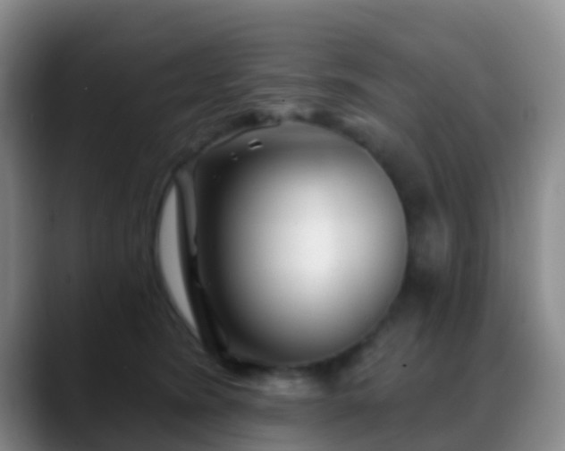 X0000088880420200706151815