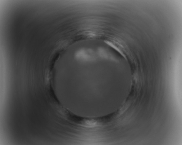 X0000088880423200706151815