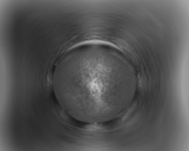 X0000088880425200706151815