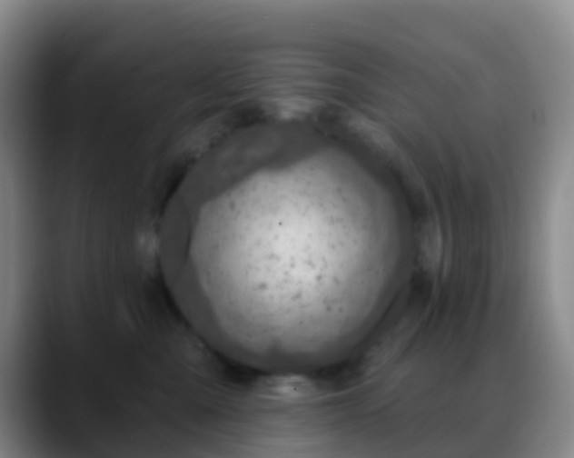 X0000088880427200706151815