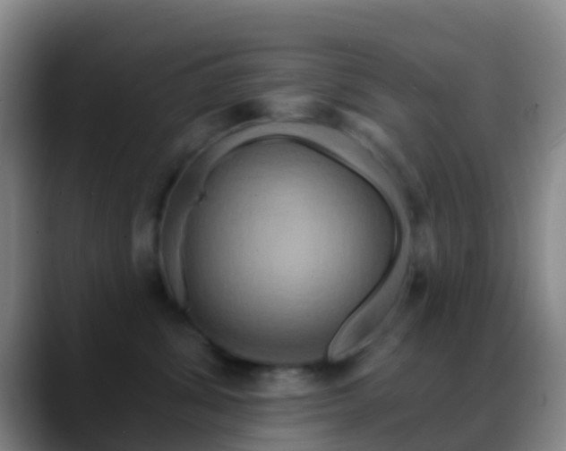 X0000088880428200706151815