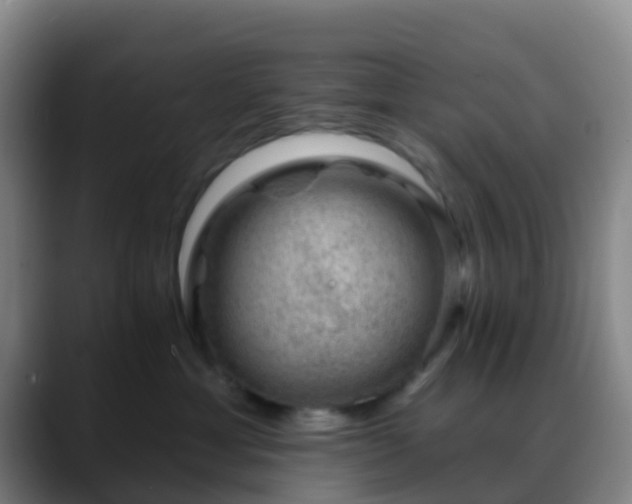 X0000088880429200706151815