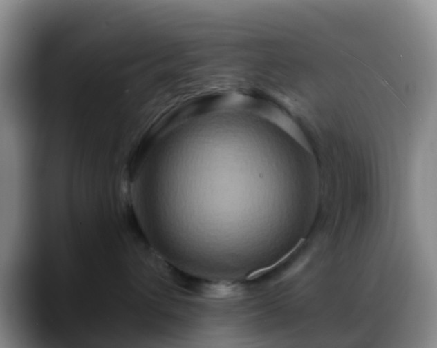 X0000088880432200706151815