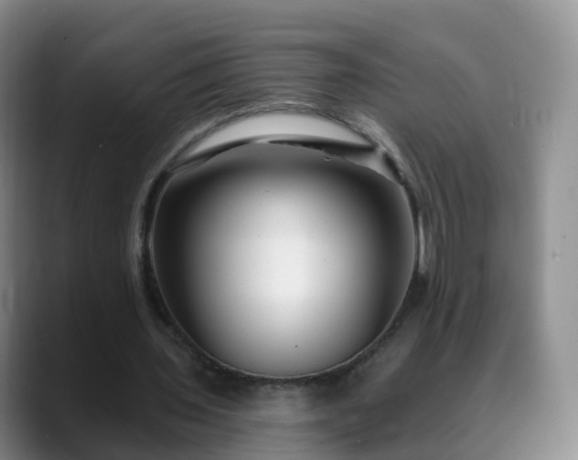 X0000088880435200706151814