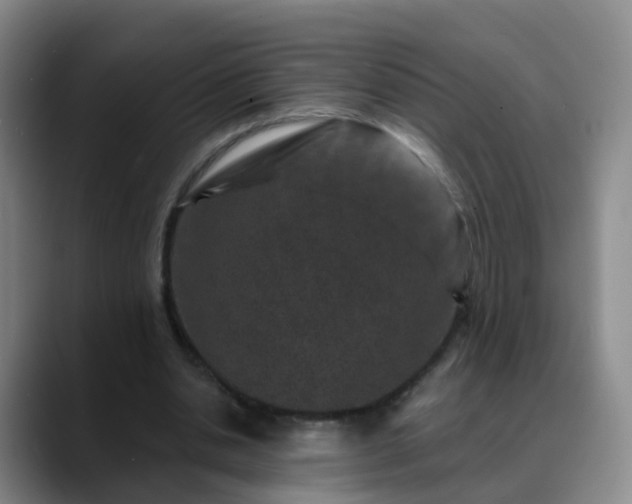 X0000088880438200706151814