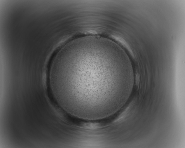 X0000088880444200706151814