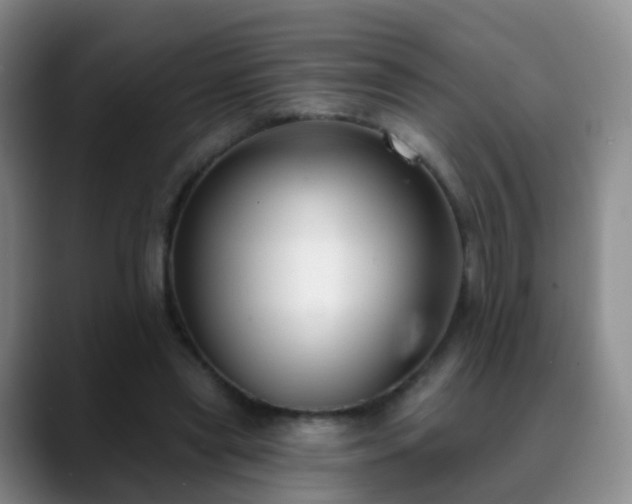 X0000088880445200706151814