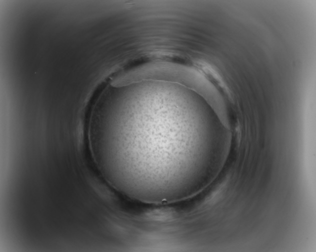 X0000088880447200706151814