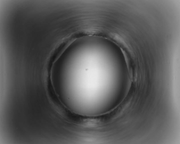 X0000088880448200706151814