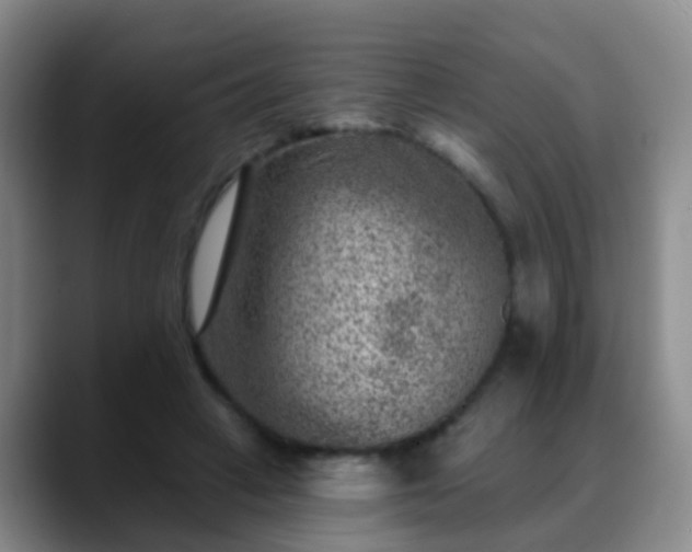 X0000088880449200706151814