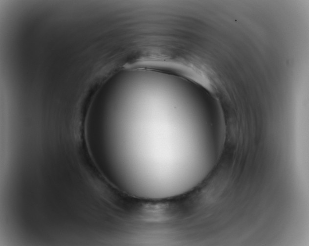 X0000088880450200706151814