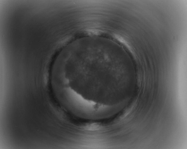 X0000088880451200706151814