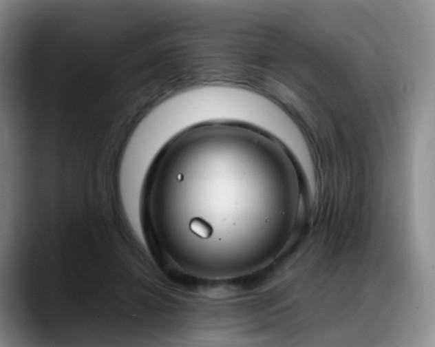 X0000088880452200706151814