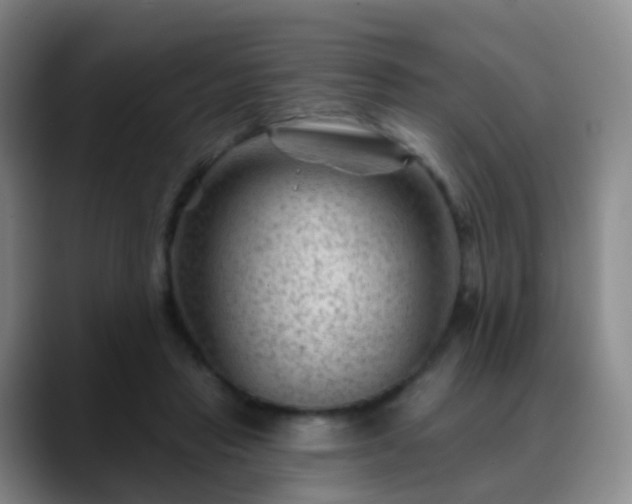 X0000088880453200706151814