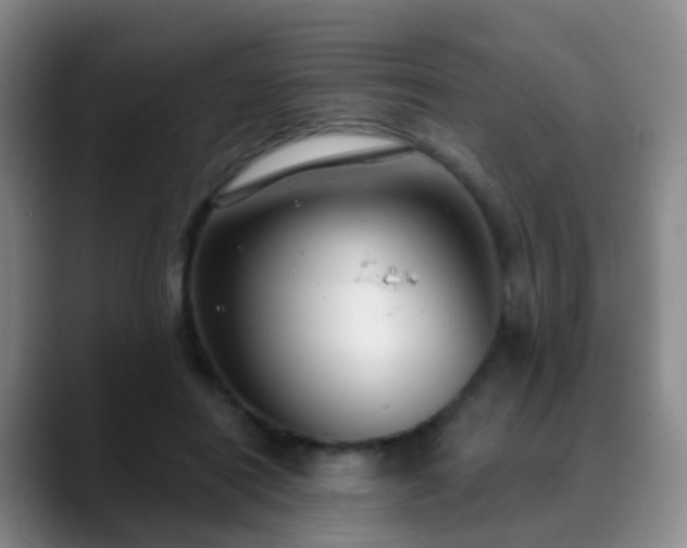 X0000088880454200706151814