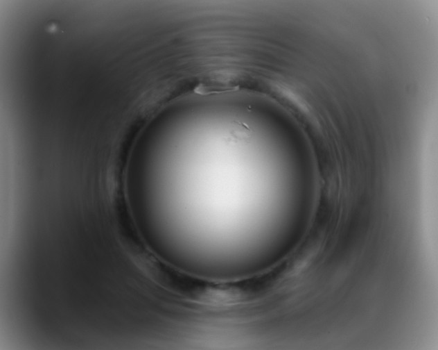 X0000088880455200706151814