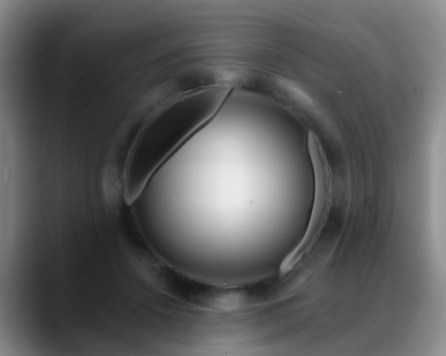 X0000088880456200706151814