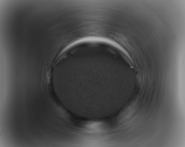 X0000088880458200706151814