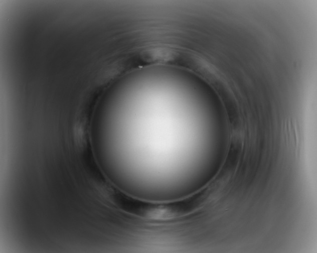 X0000088880460200706151814