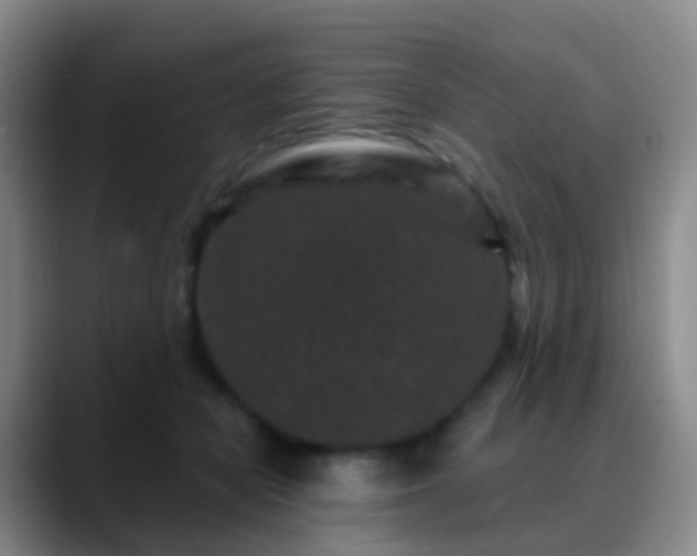 X0000088880462200706151814